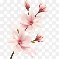 时尚花型-空若网 时尚花型-空若网