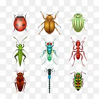 �������ʸ���ز�-������