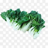 食物剪影手绘食物素材 青菜蔬菜-空若网 食物剪影手绘食物素材 青菜蔬菜-空若网