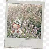 ��޹�²��϶��������������-������-������