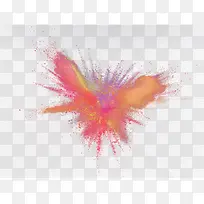 ��ը��ɫ��ĩ-������