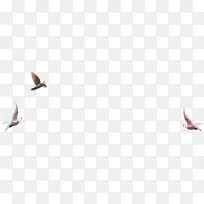 һȺ��ƽ��Ч��������Ӱͼ-������