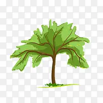 ÂÌÉ«µÄÊ÷-¿ÕÈôÍø ÂÌÉ«µÄÊ÷-¿ÕÈôÍø