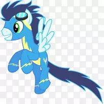 彩虹短跑苏林的飞行电视节目-飞行-空若网 彩虹短跑苏林的飞行电视节目-飞行-空若网