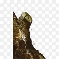 �ֻ�ɭ��ľ׮�廭-������