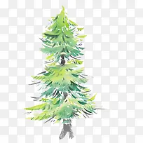 水彩松树-空若网 水彩松树-空若网