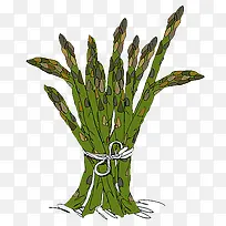 芦笋插画-空若网 芦笋插画-空若网