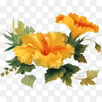 庆典花草花草素材-空若网 庆典花草花草素材-空若网