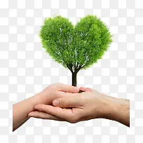 树-空若网 树-空若网