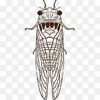 �Գƽ���ʸ����ͨ��-������