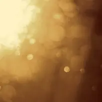 ÓêË®¹â°ß±³¾°-¿ÕÈôÍø ÓêË®¹â°ß±³¾°-¿ÕÈôÍø