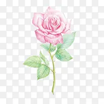 唯美手绘鲜花-空若网 唯美手绘鲜花-空若网