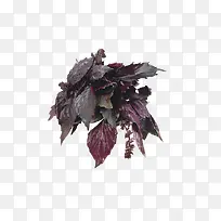 ÃÀζµÄÊß²Ë-¿ÕÈôÍø ÃÀζµÄÊß²Ë-¿ÕÈôÍø