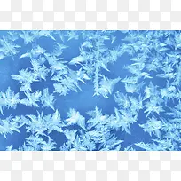 蓝色玻璃上的冰花-空若网 蓝色玻璃上的冰花-空若网