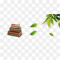 Ҷ�Ӹ���-������