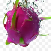 水中火龙果水果元素-空若网 水中火龙果水果元素-空若网