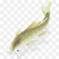 ˮ������Ӱ����Ч��-������