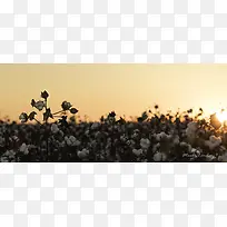 �����޻���Ӱ����-������