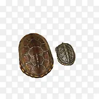 ���²ݹ�-������