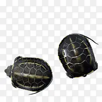 外塘草龟-空若网 外塘草龟-空若网