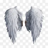 ��ɫ��ë���˫��-������