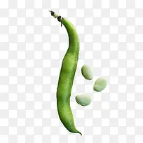 蚕豆图片-空若网 蚕豆图片-空若网