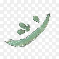 手绘蚕豆-空若网 手绘蚕豆-空若网