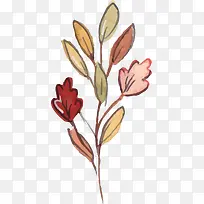 精美秋天树枝-空若网 精美秋天树枝-空若网