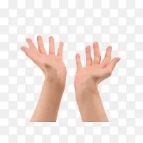 手掌举起-空若网 手掌举起-空若网