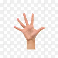 巴掌-空若网 巴掌-空若网