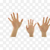手掌图-空若网 手掌图-空若网