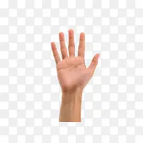 击掌-空若网 击掌-空若网