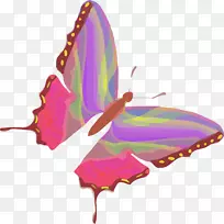 À¥³æ-¿ÕÈôÍø À¥³æ-¿ÕÈôÍø