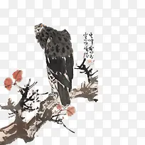 猫头鹰-空若网 猫头鹰-空若网