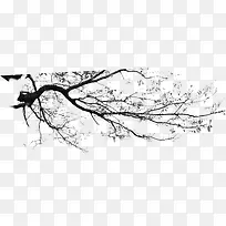 装饰梅花树枝-空若网 装饰梅花树枝-空若网