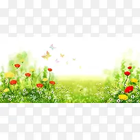 �ֻ滨�䱳��-������