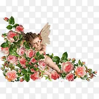 牡丹小天使-空若网 牡丹小天使-空若网