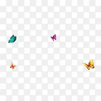 可爱蝴蝶-空若网 可爱蝴蝶-空若网