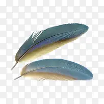 两根彩色羽毛-空若网 两根彩色羽毛-空若网