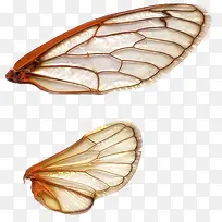 ��������-������