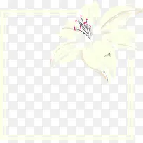卡通手绘百合花线条边框-空若网 卡通手绘百合花线条边框-空若网