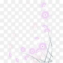 ��ɫ�ѹ�Ӣ-������