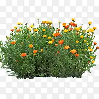 ��ɫ���ղ�-������