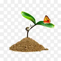 ÄÛÑ¿-¿ÕÈôÍø ÄÛÑ¿-¿ÕÈôÍø