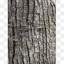 ��Ȼ��Ƥ��������-������