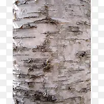 ��ɫ��Ƥ����-������