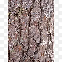 ��ɫ��Ƥ��������-������