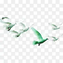 白色飞舞鸟群手绘-空若网 白色飞舞鸟群手绘-空若网