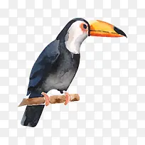 ��֦�ϵ���ľ��-������