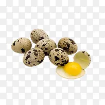 实物鹌鹑蛋-空若网 实物鹌鹑蛋-空若网